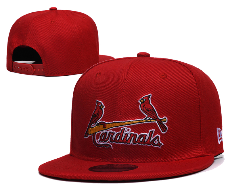2025 Arizona Cardinals hat 006